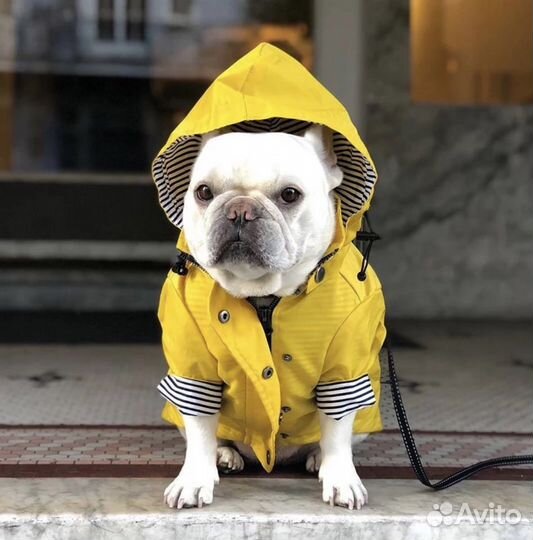 Куртка для собаки
