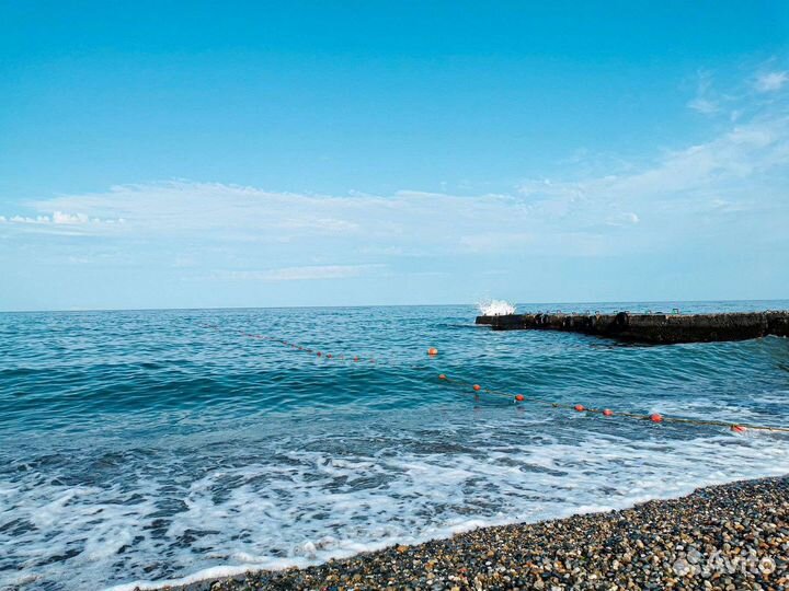 Сочи из Омска отдых