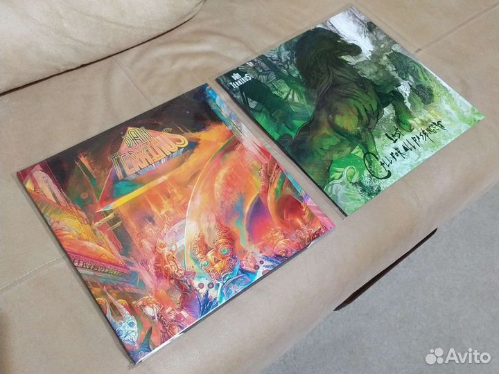 Виниловые пластинки Dan Terminus