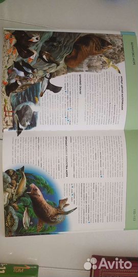 Полная энциклопедия 