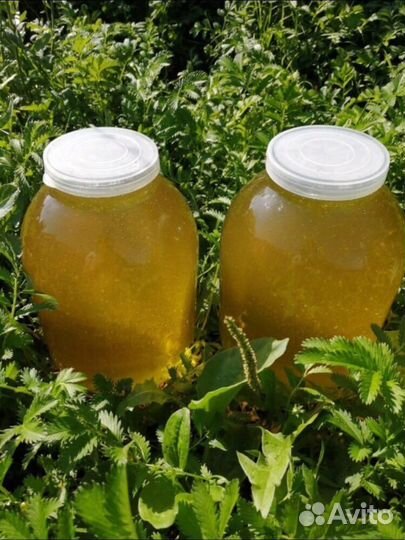 Мед натуральный, соты, забрус