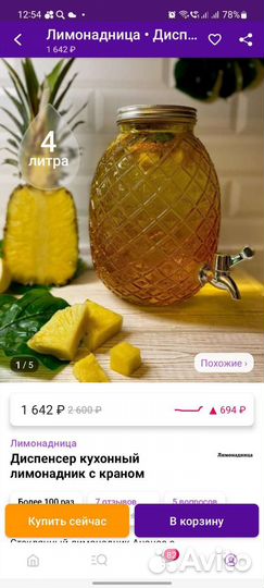 Лимонадник с чайным грибом