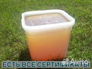 Мёд оптом из Алтая