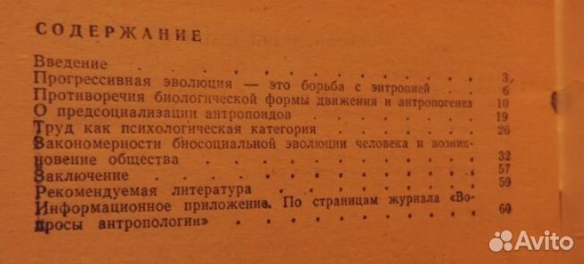 Югай.Антропосоциогенез. Блинкин. В мире незримого