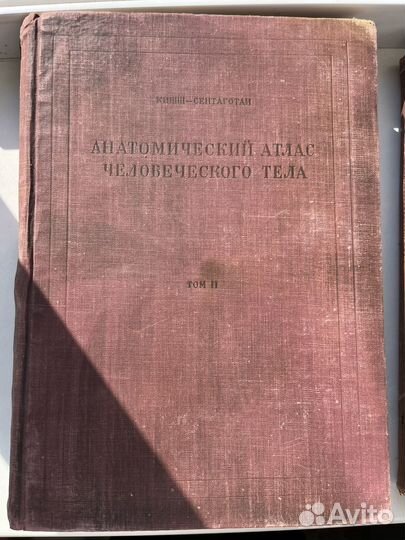Анатомический атлас человеческого тела Будапешт