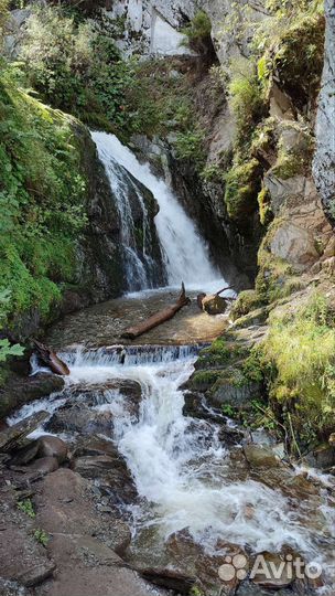 Туры экскурсии Алтай Телецкое озеро Чемал