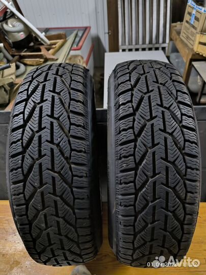 Tigar Winter 185/65 R15 92S