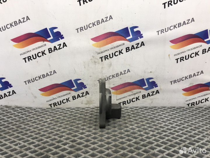 Заглушка блока цилиндров Daf XF106