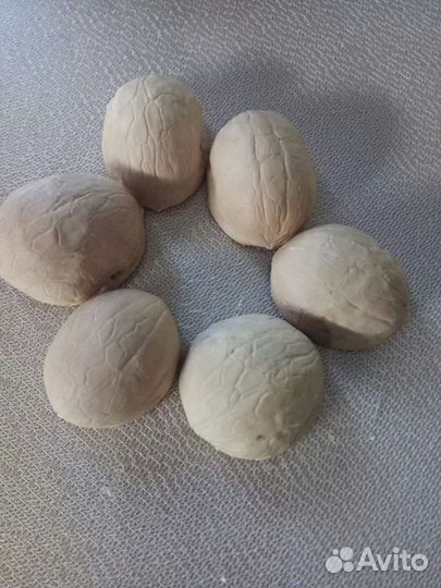 Скорлупа грецкого ореха