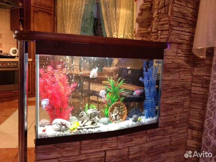 Обслуживание (чистка) аквариумов