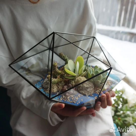 Флорариум в наличии