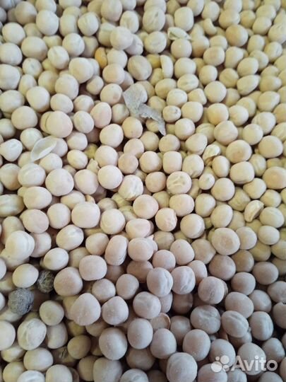 Корм для кур-несушек