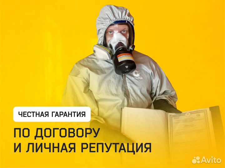 Дезинфекция Уничтожение плесени, грибка