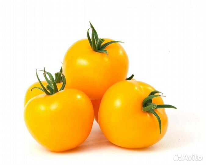 Семена Томата 