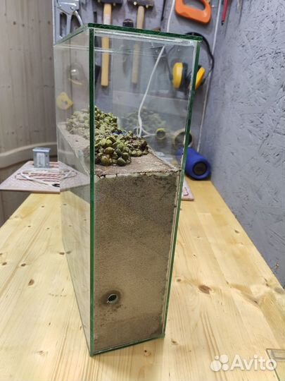 Формикарий муравьиная ферма