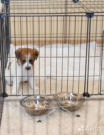 Клетка-вольер новый сборный