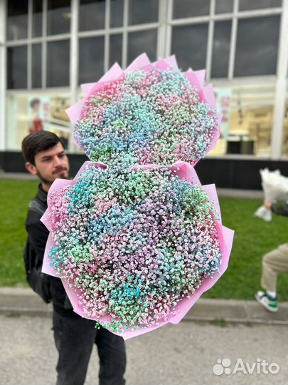 Гипсофилы 25 шт