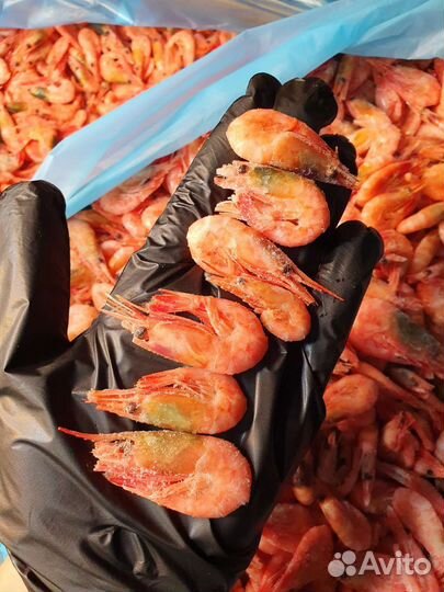 Креветка 300+ Мурманск
