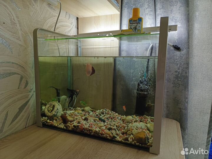 Аквариум