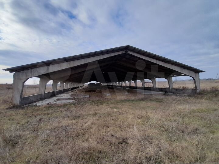 Участок 12 га (СНТ, ДНП)