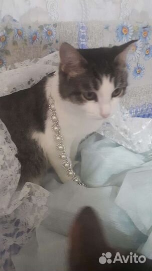 Даша хочет домой