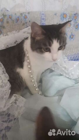 Даша хочет домой