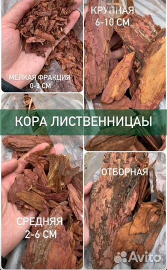 Кора сосны и лиственницы Сибирской разных фракций