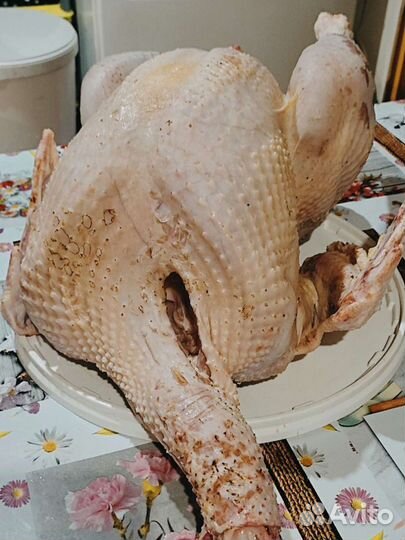 Индюшатина мясо, фарш, суповые наборы, котлеты