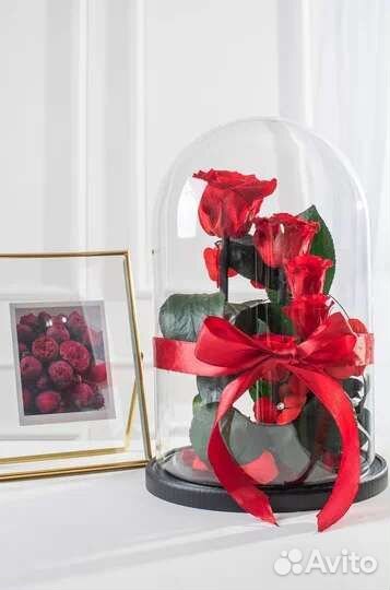 Вечная живая роза в колбе