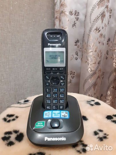 Panasonic
