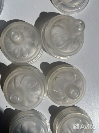 Бутылочки chicco, бутылочки philips avent