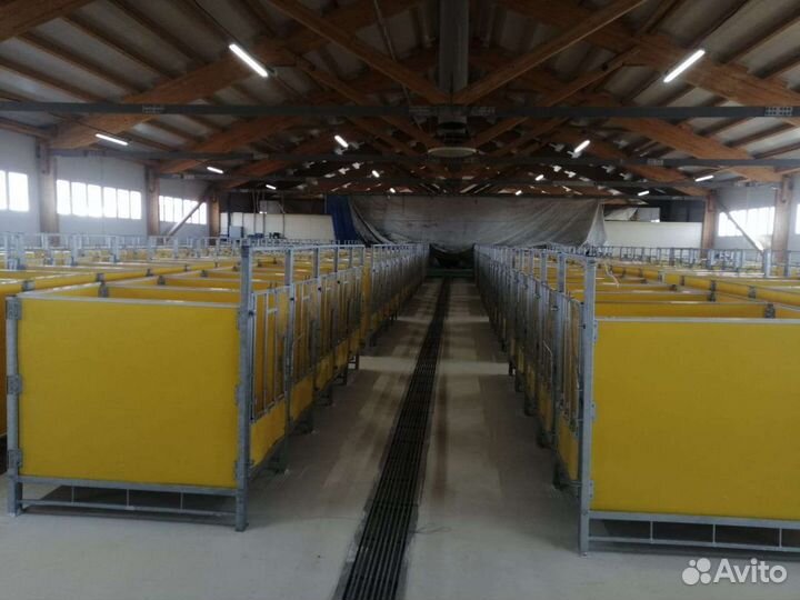 Боксы для телят (крс)