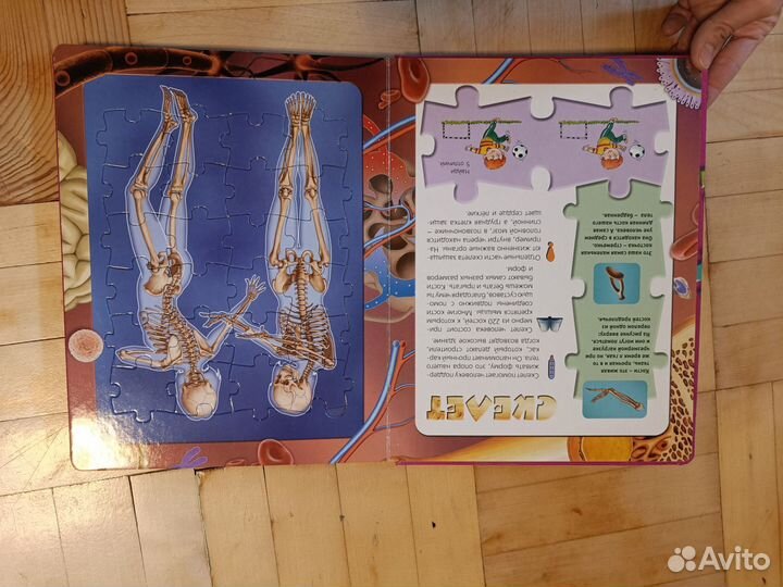 Пазлы, книга с пазлами о строении человека