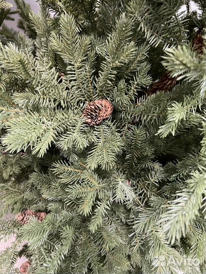 Ель Литая пышная