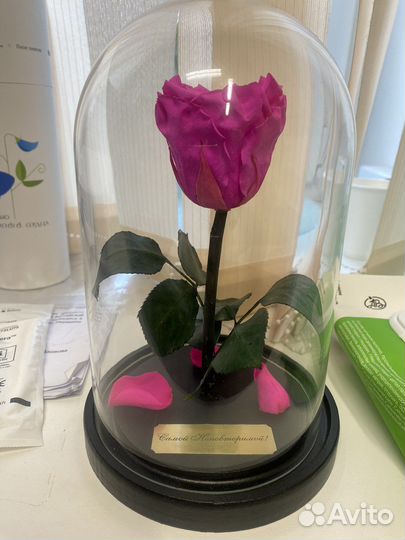 Неувядающая роза в колбе