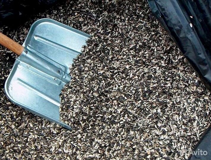 Грузчик ежедневная оплата