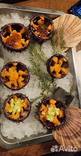 Икра морских ежей