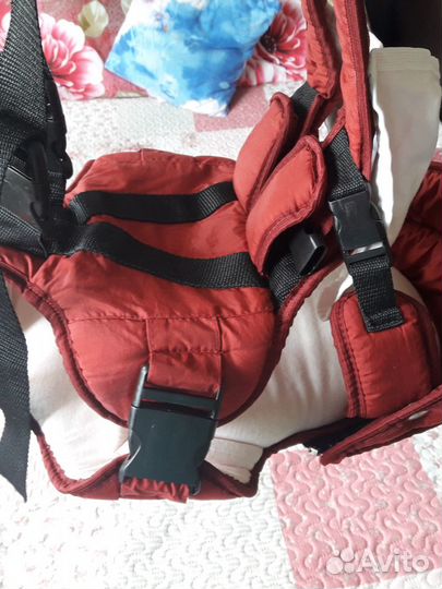 Кенгуру панда