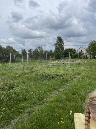 Участок 6 сот. (СНТ, ДНП)