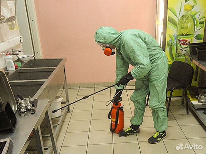 Рубцовск Уничтожение Тараканов Клопов Клещей