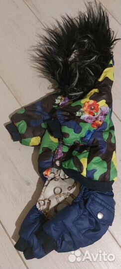 Комбинезон для маленькой собаки