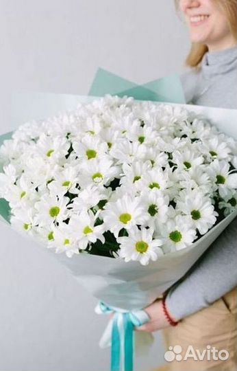 Хризантема. Букеты Цветы доставка