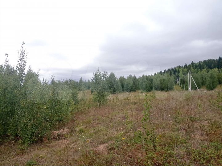 Участок 3,5 сот. (СНТ, ДНП)