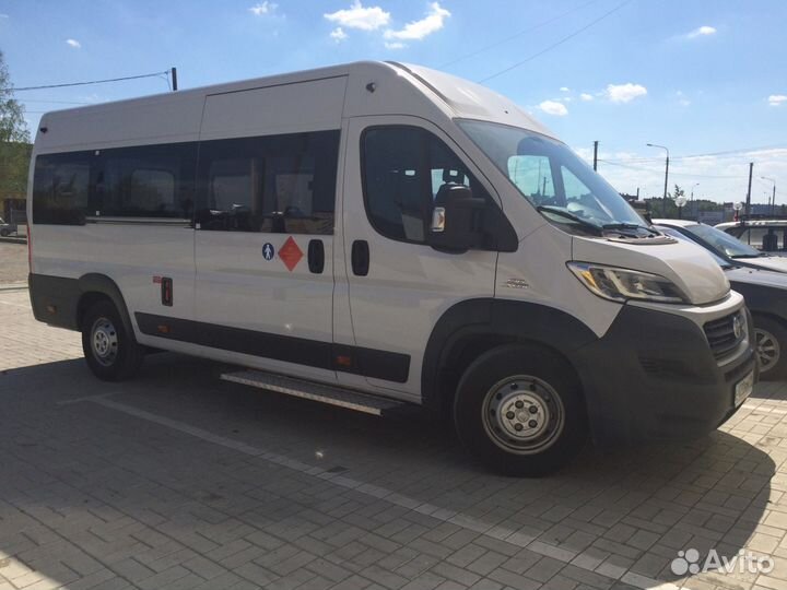 Автобус аренда