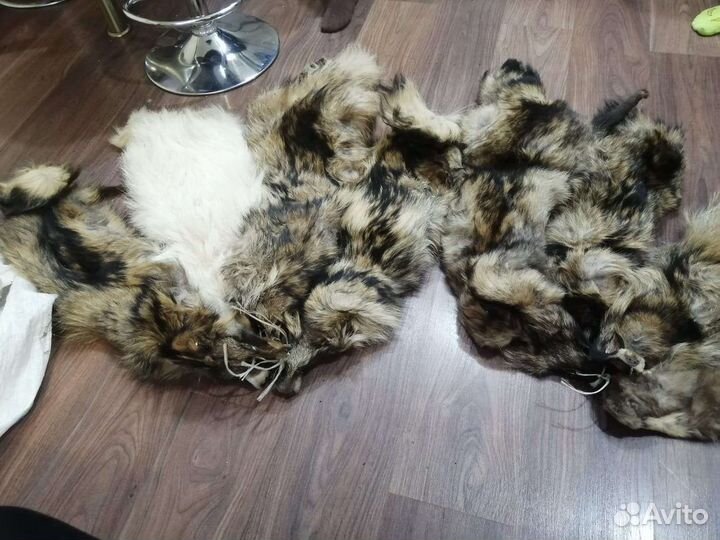 Шкура енота