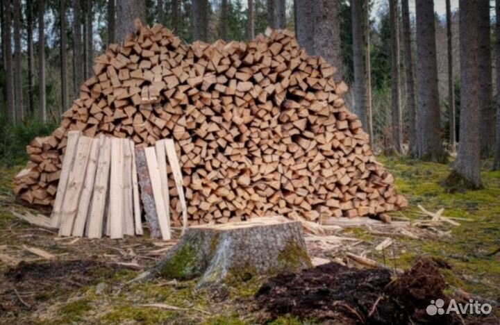 Дрова колотые дуб