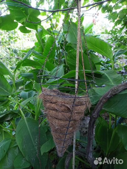 Кашпо для ампельных растений