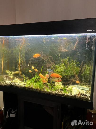 Аквариум с тумбой бу