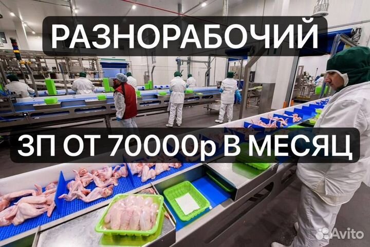 Разнорабочий на птицефабрику вахта