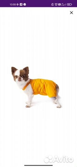 Одежда для собак мелких пород